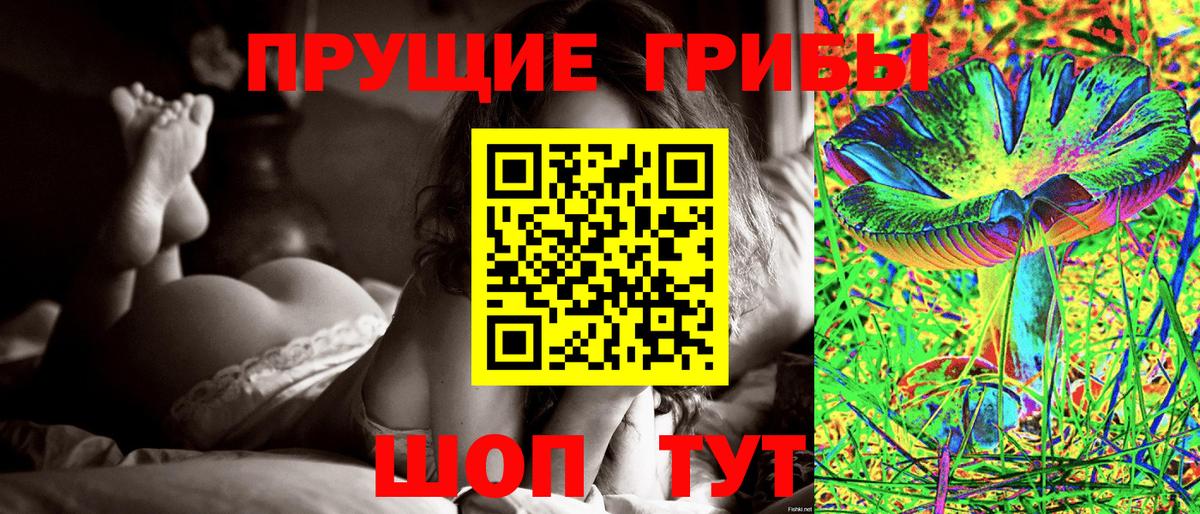 Галлюциногенные грибы Psilocybine cubensis  Галлюциногенные грибы прущие грибы  Вышний Волочёк  Вход с VPN 